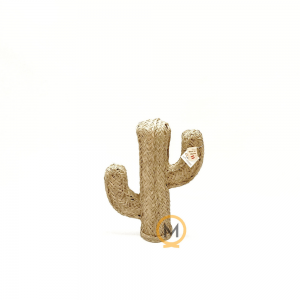 cactus de esparto pequeño