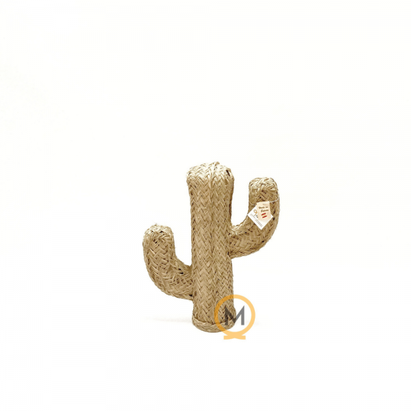 cactus de esparto pequeño