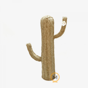 Cactus de esparto mediano