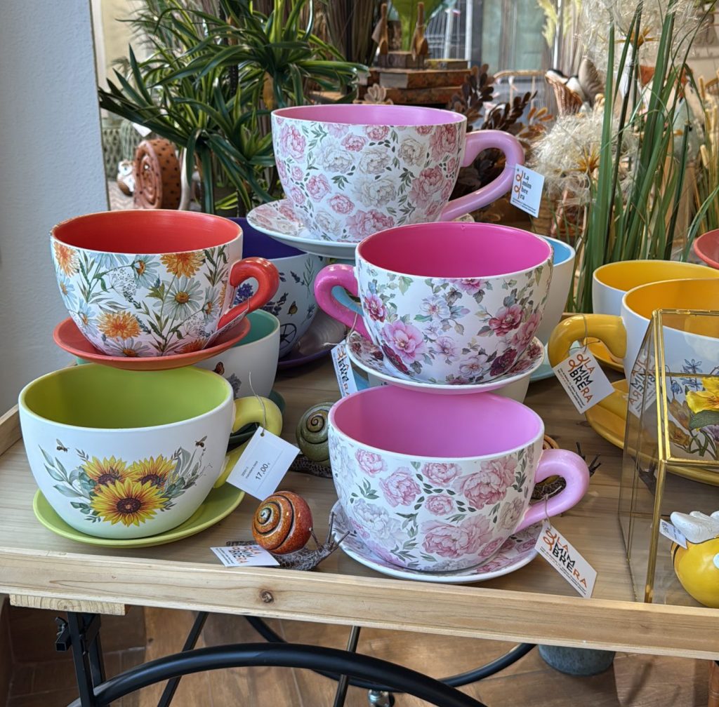 coleccion de tazas macetero de ceramica con colores alegres